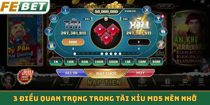 3 điều quan trọng trong Tài Xỉu MD5 nên nhớ